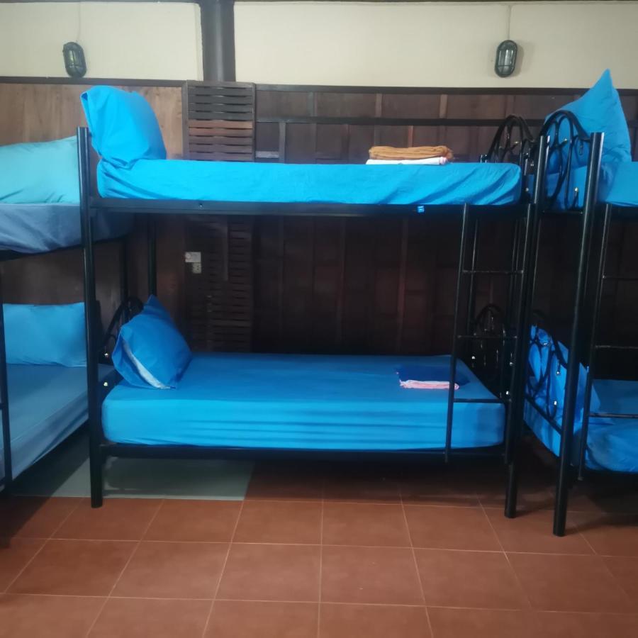Haadrin Village Mixed Dorm 哈林海滩 外观 照片
